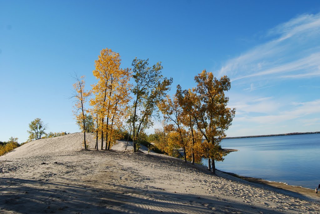 Sand Dunes - Sandbanks Provincial Park by Philana Memraj