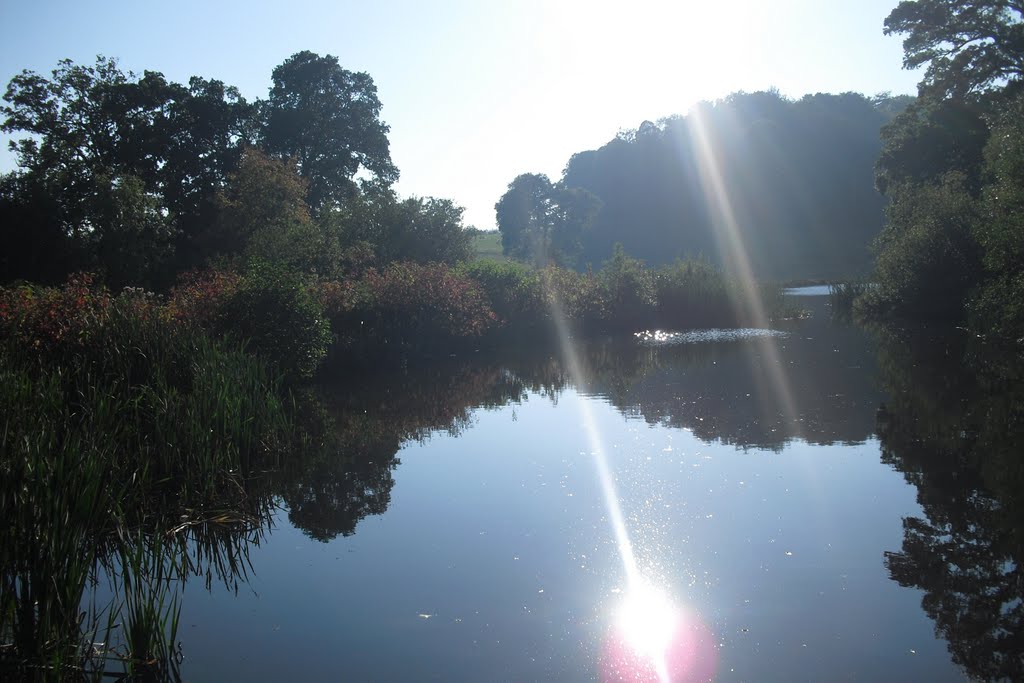 Stourhead Gardens by timpami