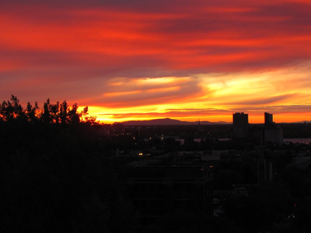 (view from my balcony) by Naz Mustun