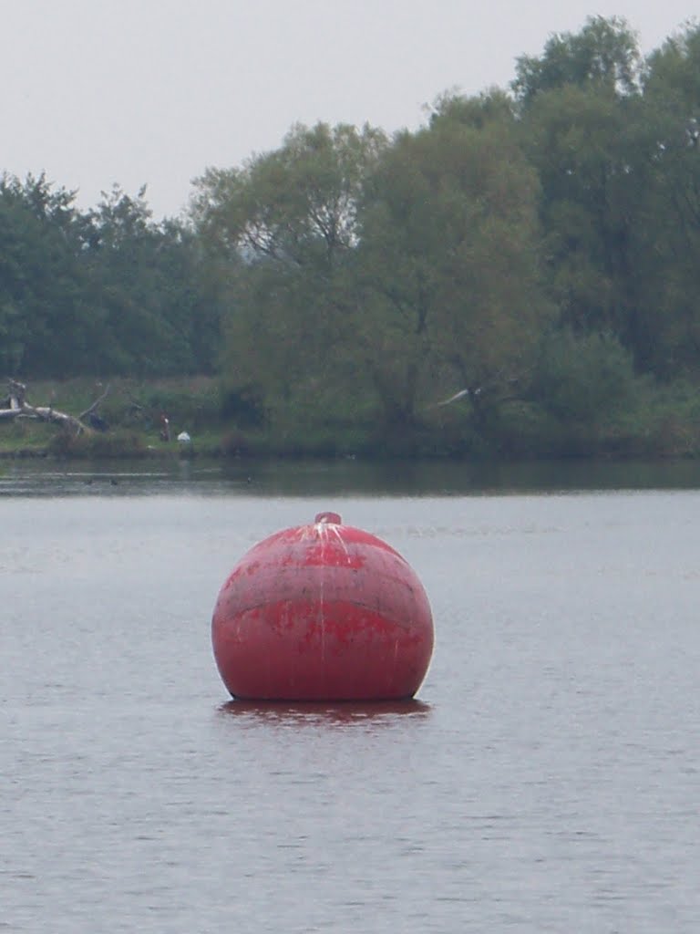 Ballen gooien by Ted Potters