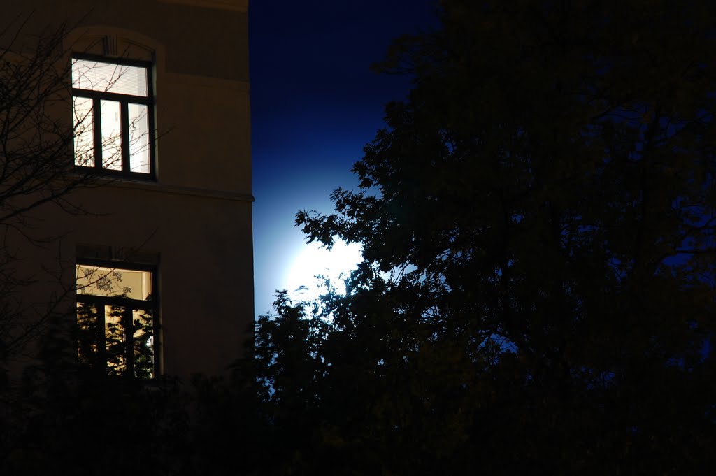 The moon shines through the clouds by Seafood