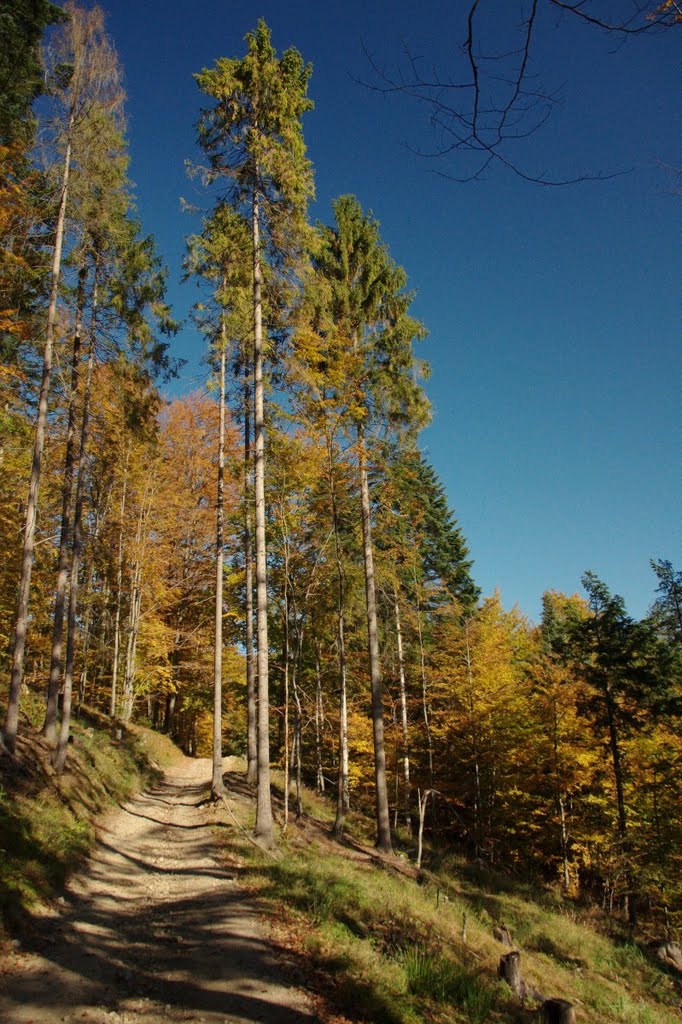 Park krajobrazowy Beskidu Małego by Mari Roldon