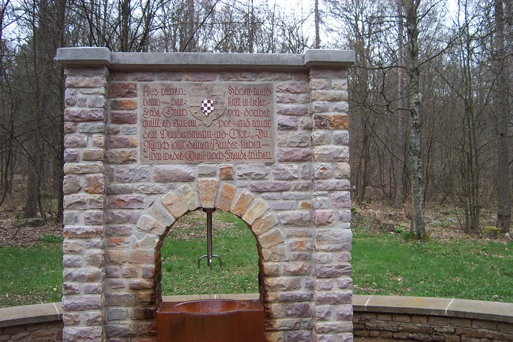 Sauerbrunnen Im Hambachtal by Michael Töttel