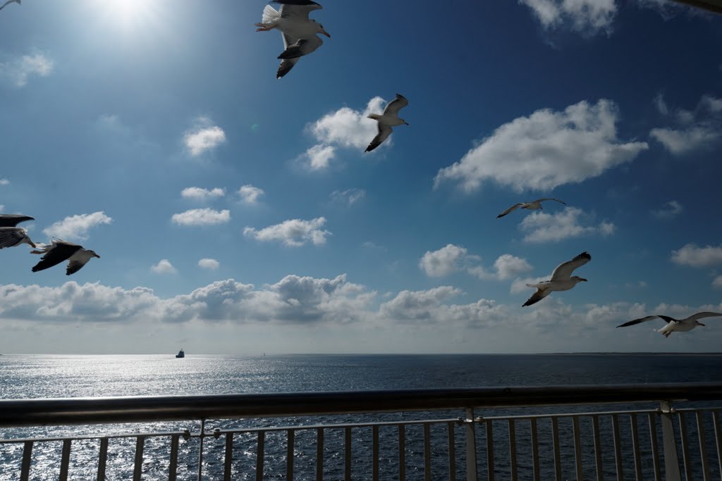 Texel - Marsdiep - Ferry 'Dokter Wagemaker' - View West by txllxt TxllxT