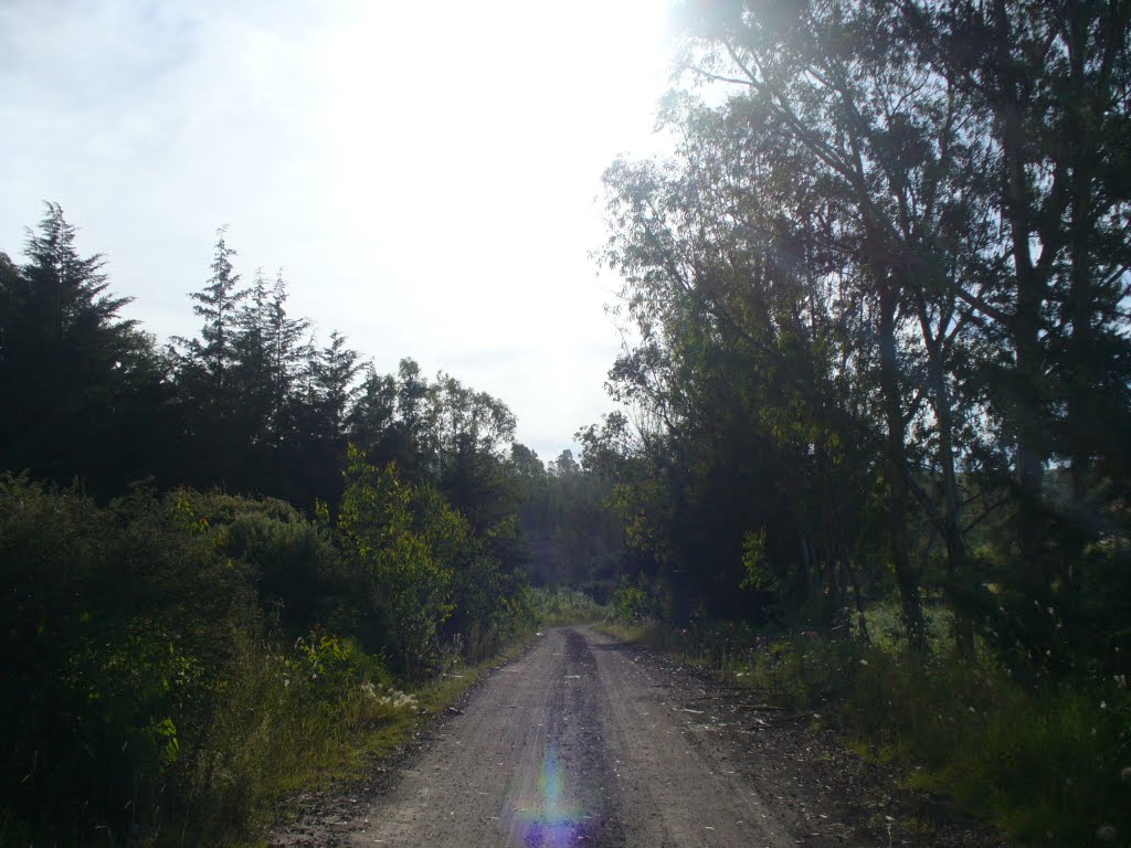 Huehuetoca lake road by Travel