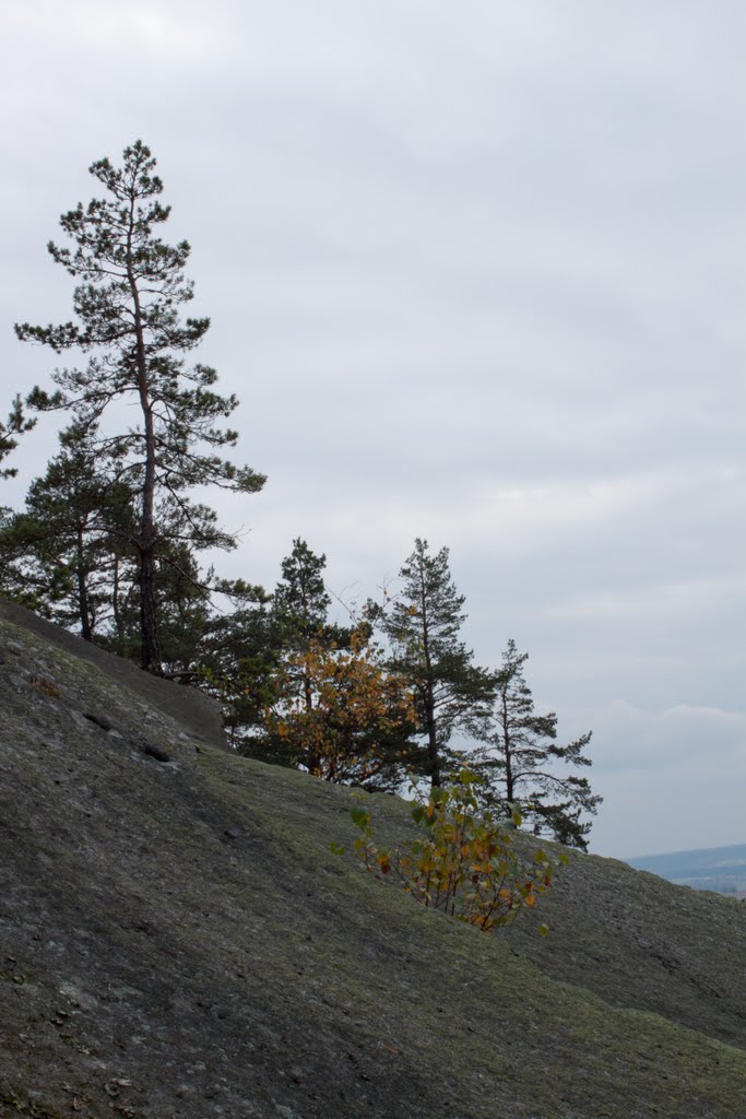 Granite Quarry Wall 2 by Benjamin Sharp