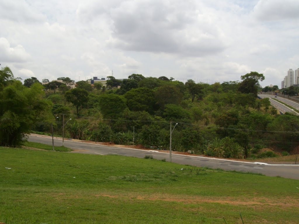 Av.das Larangeiras Parque das Larangeiras (aréa verde) by carlos antonio coelh…