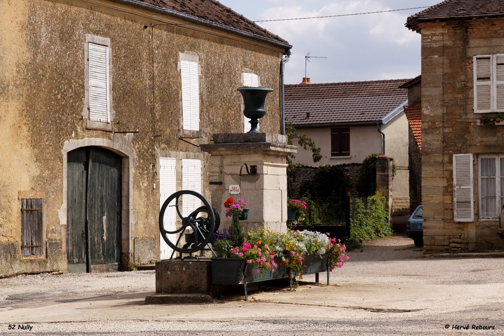 Fontaine de Nully (52) by H. Rebours