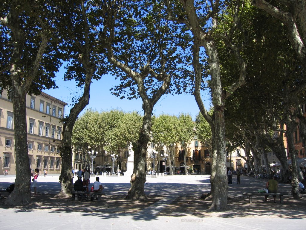 Piazza Napoleone, Lucca, Looking North by J.Lowe