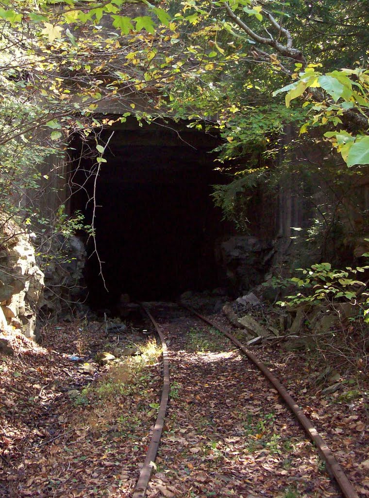 Old Train Tunnel by WolfDreamer1112