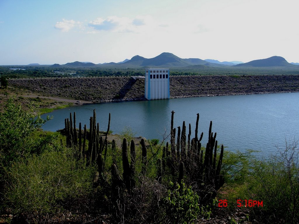 Cajeme, Son., Mexico by helio thorny