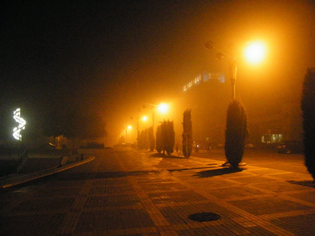 A sandstorm dusk in Qiqihar. the front space of QRRS. 中国北车齐车公司厂前广场在沙尘暴后的华灯初上。 by Faezrland, 天下主家