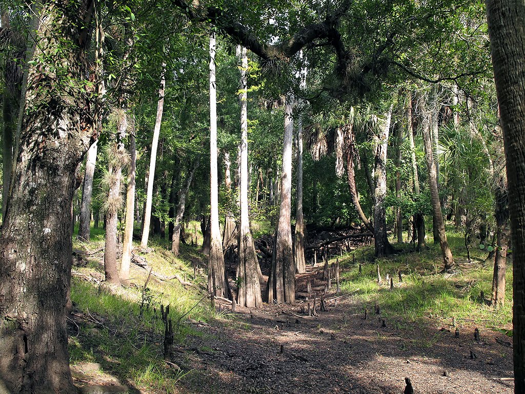 Dry Park Of River Area by Tom Choma