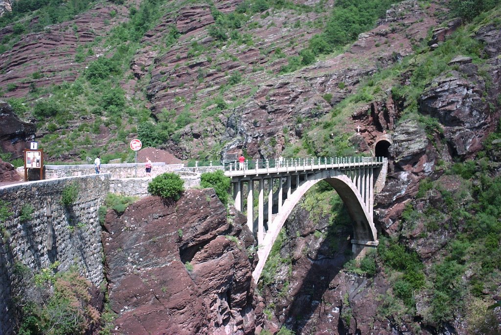 Pont de la Mariée, Gorges de Daluis by Wim Constant