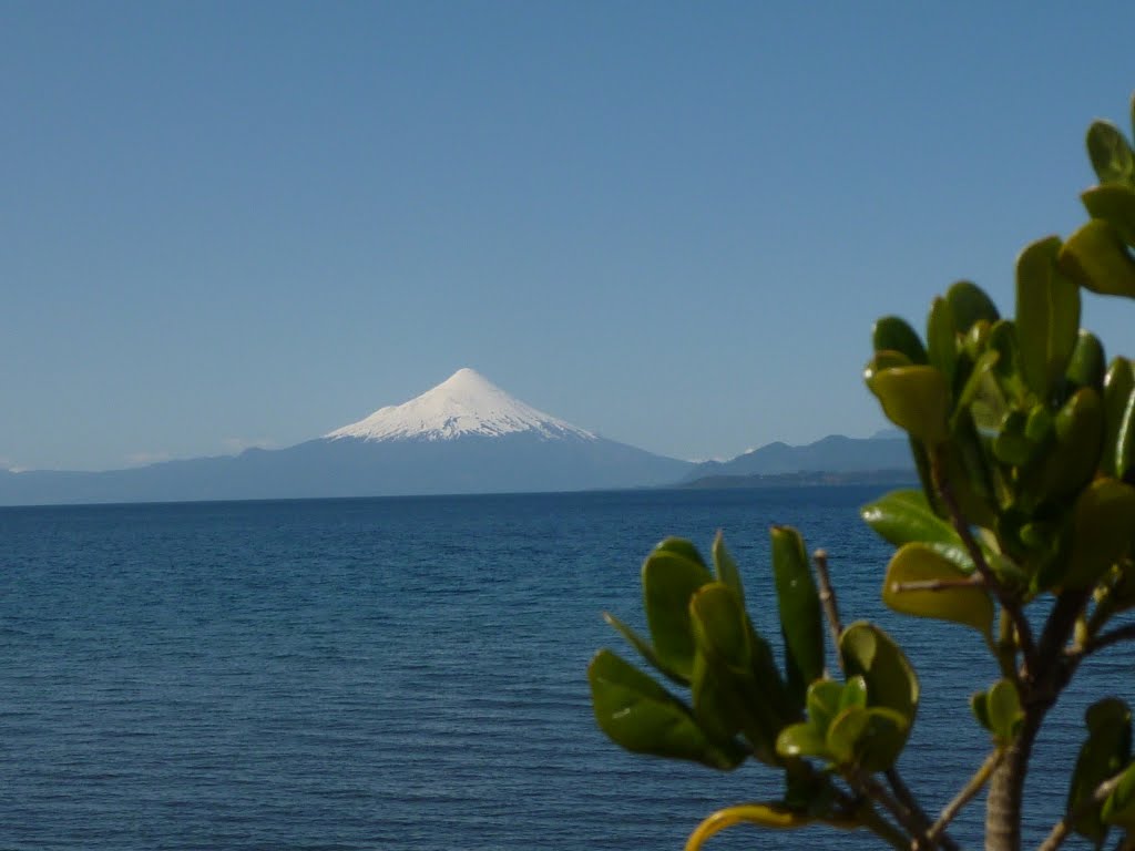 Volcan Osorno.desde Pto Varas.Chile. by georgina guichaquelen