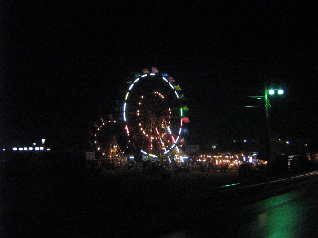 Vista nocturna de la feria de Flores 2007 by apastor