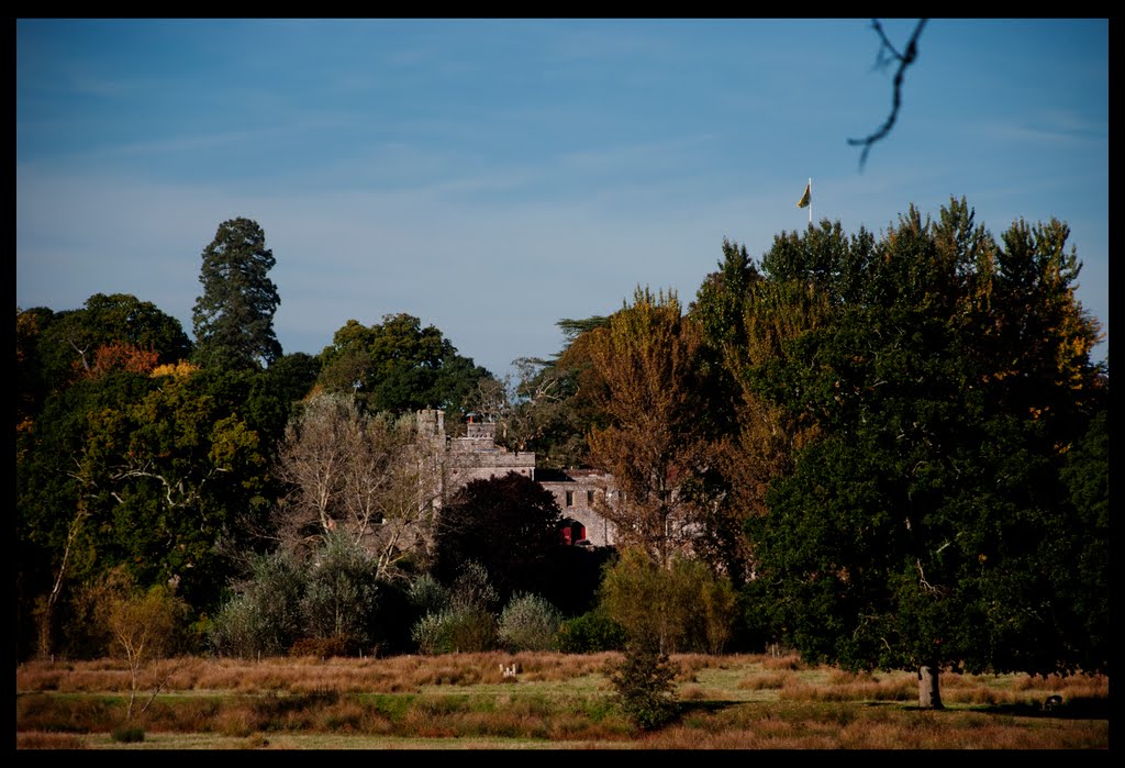 Powderham Castle by darth-eider