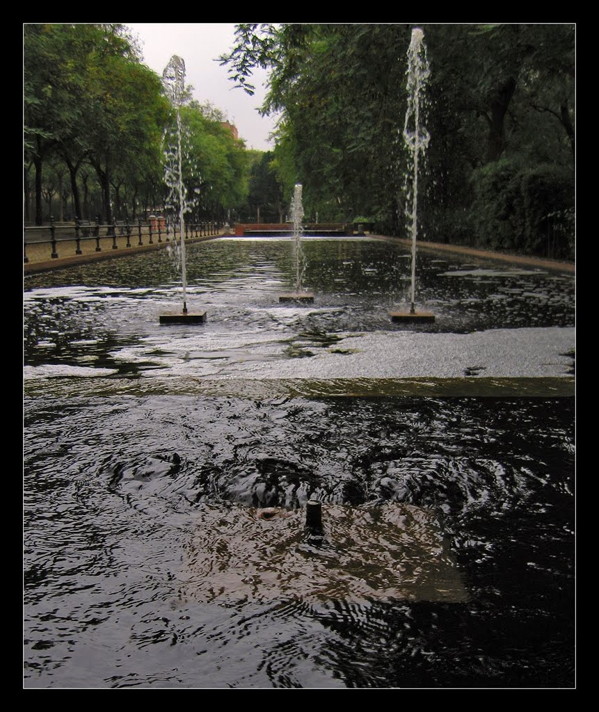 El prado de San Sebastian by Trabajo