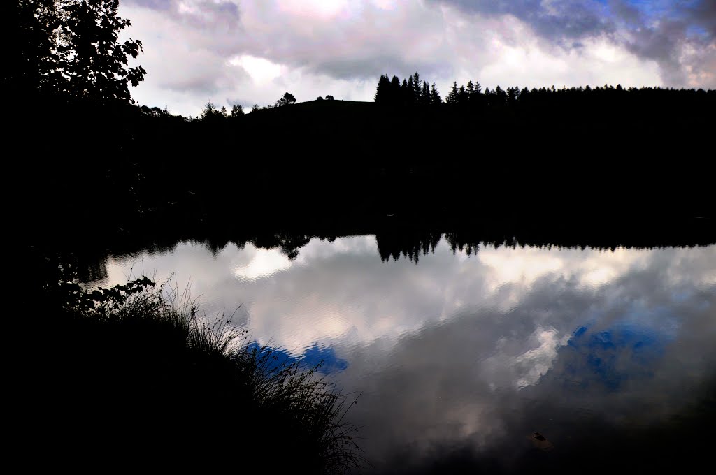 Tarn Hows. by Bob McCraight