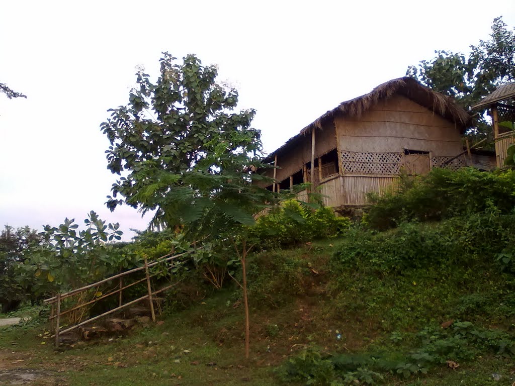 On way to Deepor Beel lake by San Phrangmung