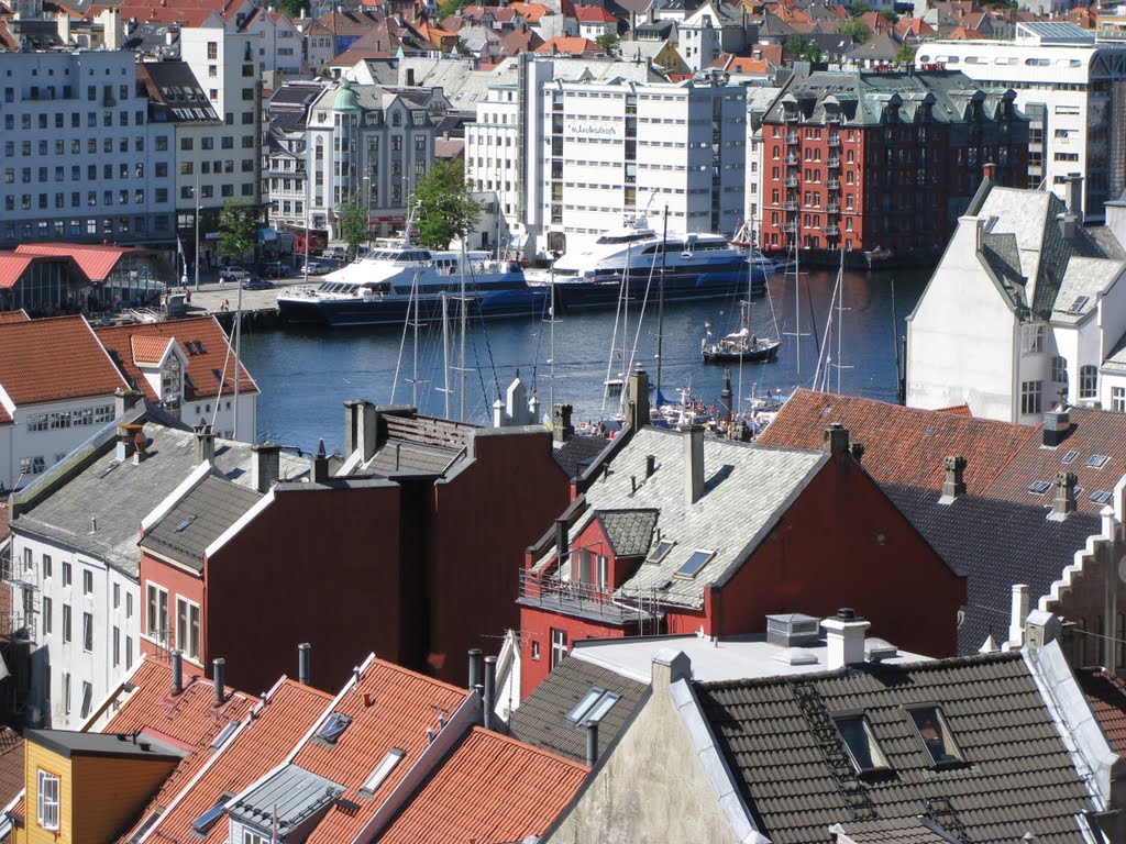 Fjellet Nord, Bergen, Norway by Olga Ivanova