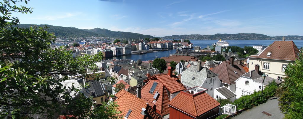 Fjellet Nord, Bergen, Norway by Olga Ivanova