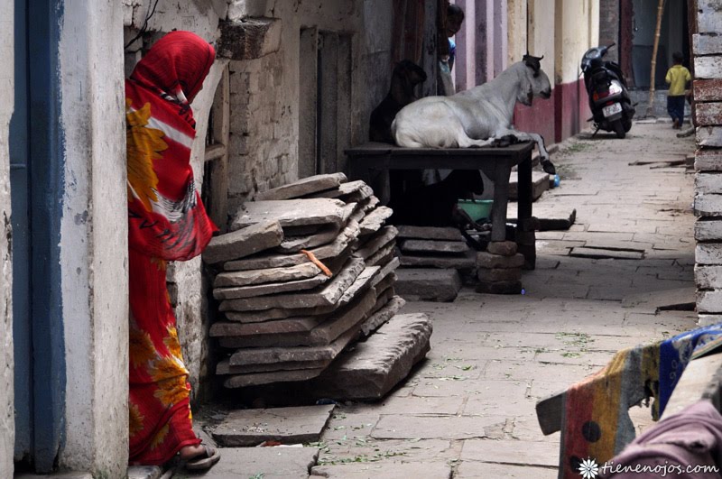 Varanasi by tienenojos.com