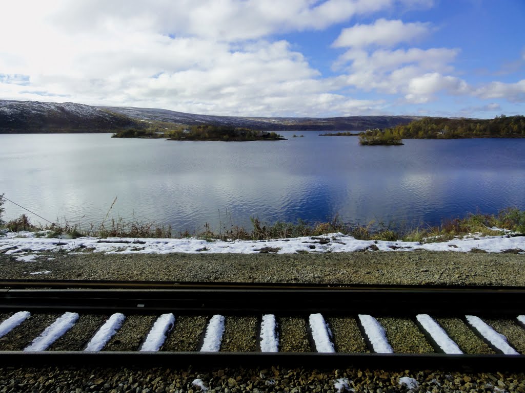 Viatge en tren Oslo-Bergen. NSB. Noruega, setembre de 2010 by Bienve Puerto Camafo…