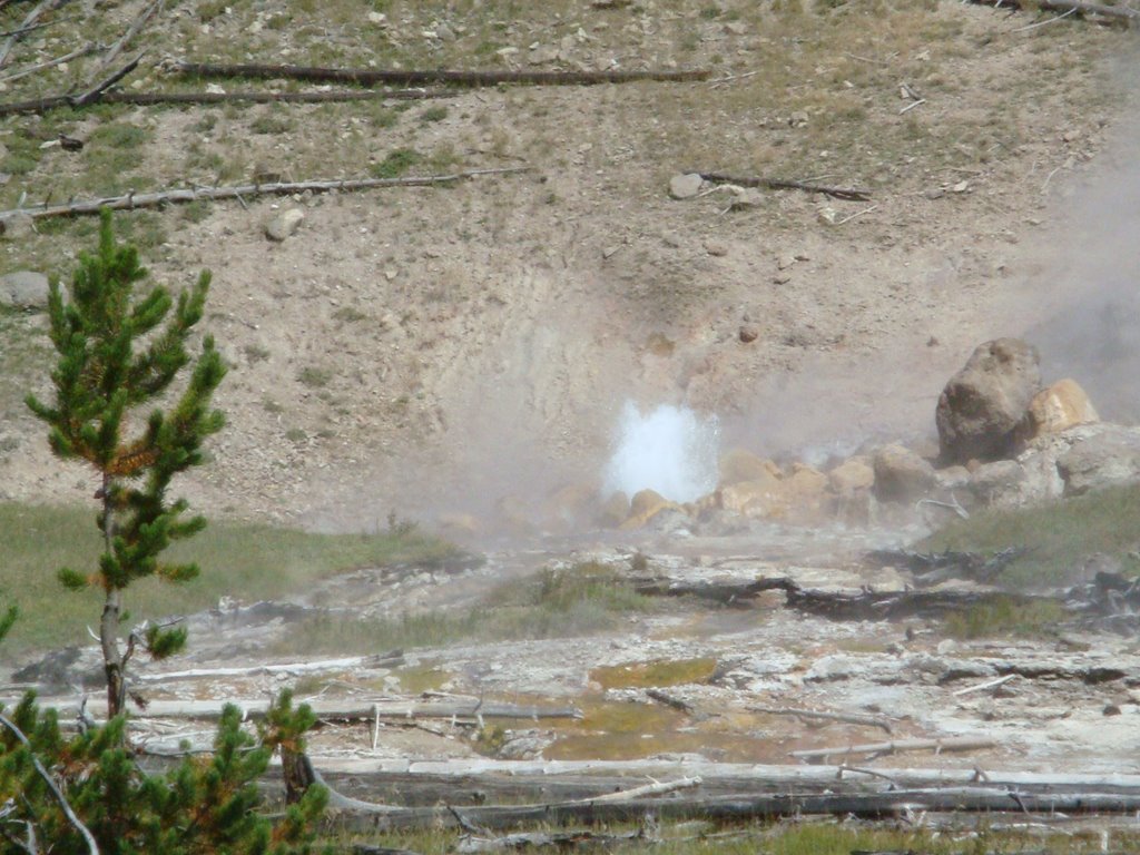 Spray Geyser by bugslayer