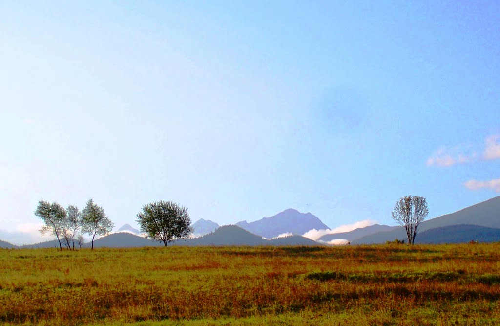 View from bachledzki wierch by embe