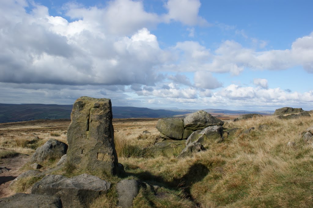 Moorland 2 by benkernow