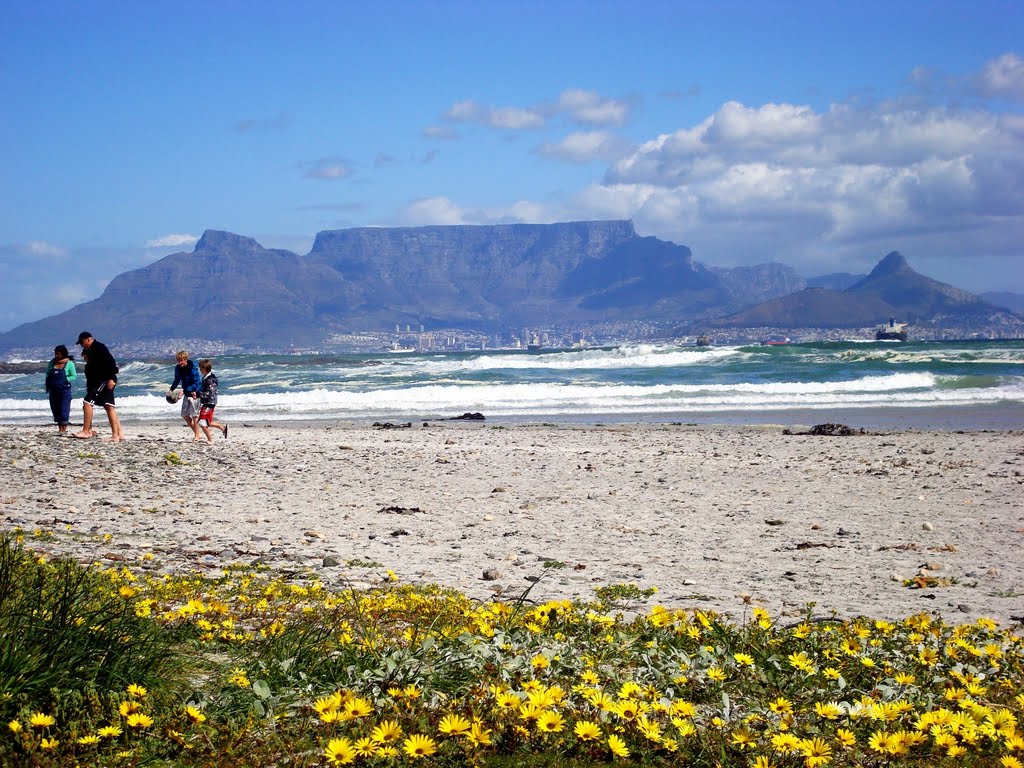 Table Mountain (5) : Spring Daisies and fun on the beach by Hazel Coetzee