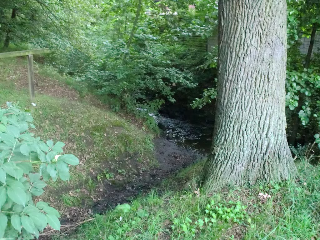 Dodesheider Landwehrgraben mündet in den Klusbach by FekLeyrTarg