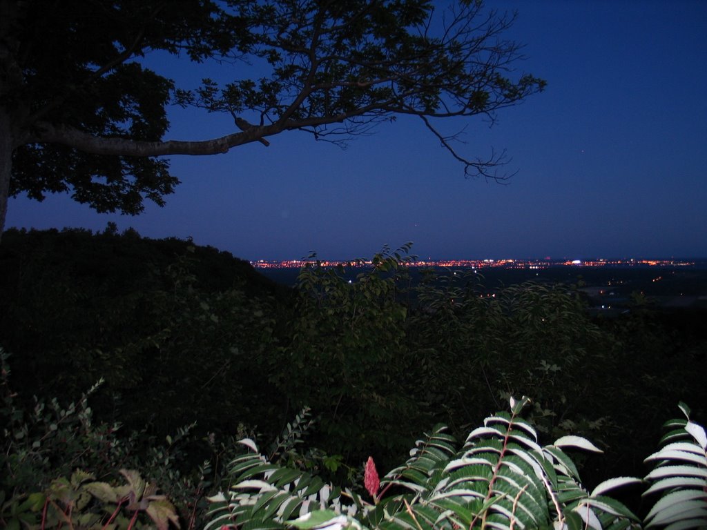 Lookout at Dusk by Scott McIntosh