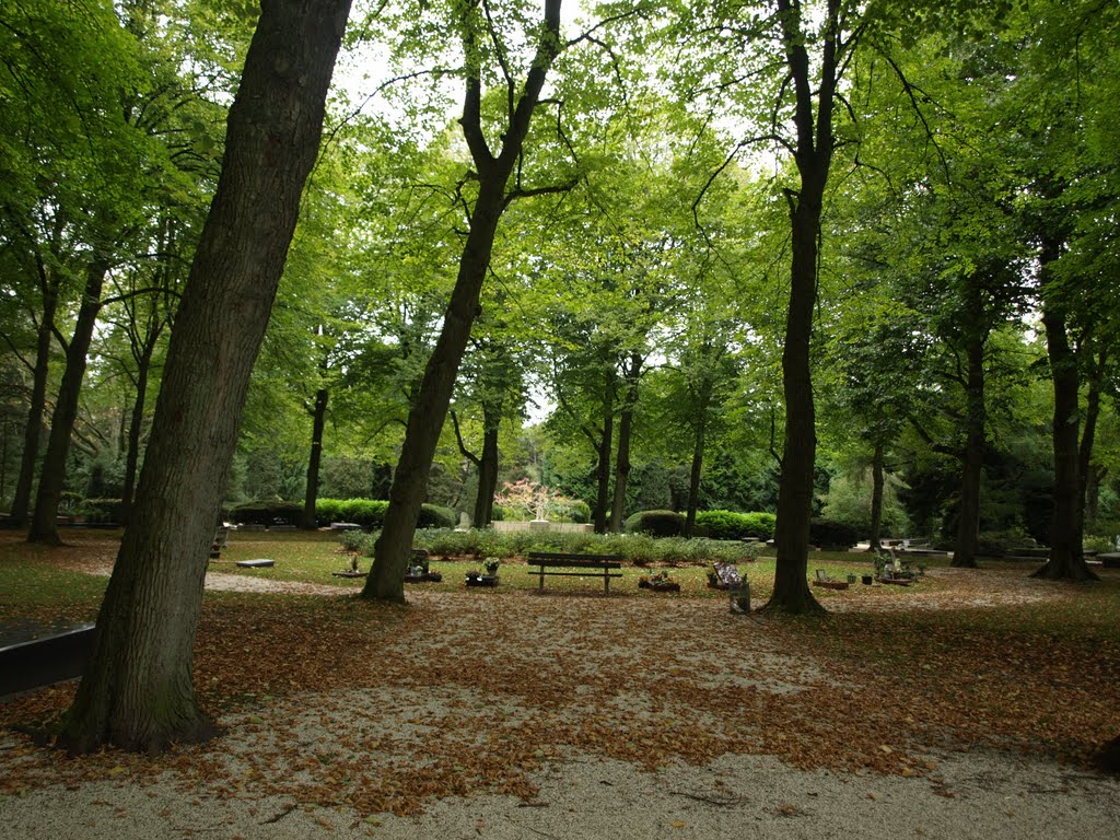 Begraafplaats Esserveld. by Hans R van der Woude