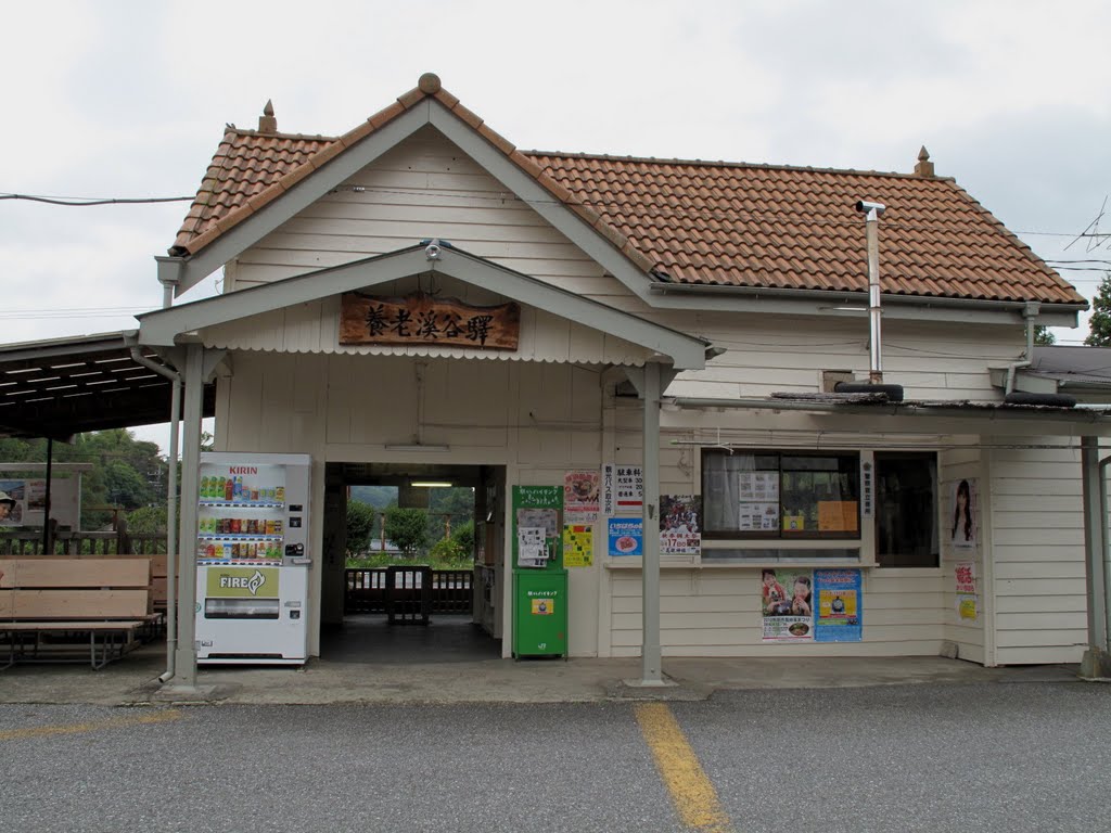 A "bijou" small railway station in countryside. Yoro Valley, Chiba (Oct. 17, 2010) by ykplayground