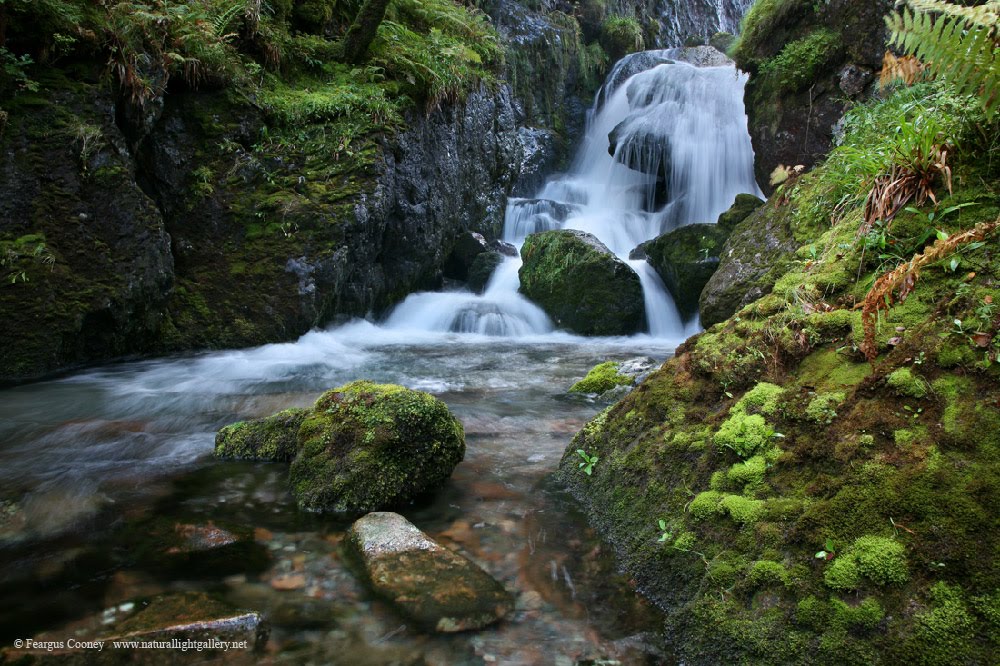 Highland, UK by Feargus Cooney