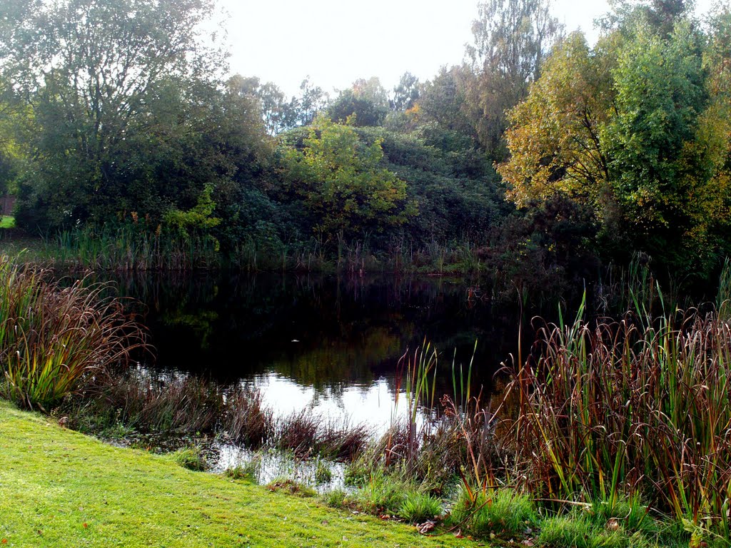 Barons Gate Pond,Uddingston.(355) by Portmoreloch