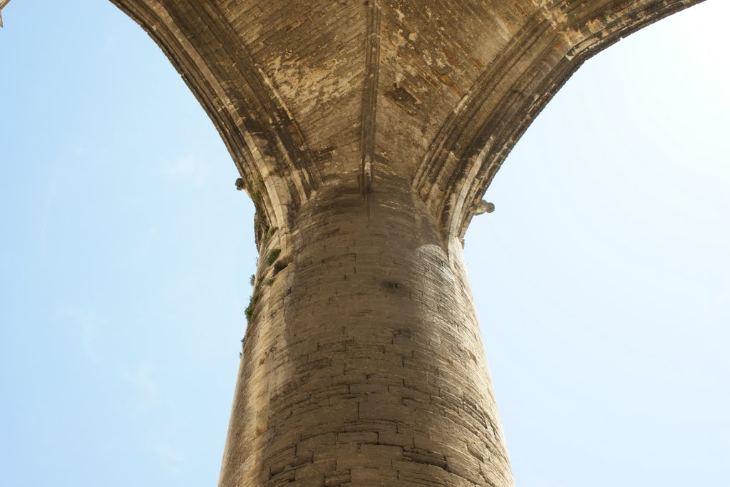 Cathédrale Saint-Pierre, détail de la colonne by © Tsol