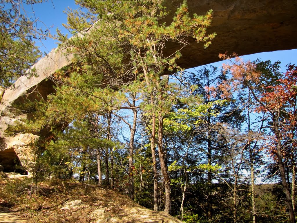 Sky Bridge 6 (Red River Gorge, KY) Autumn 2010 by Kalin Ranchev