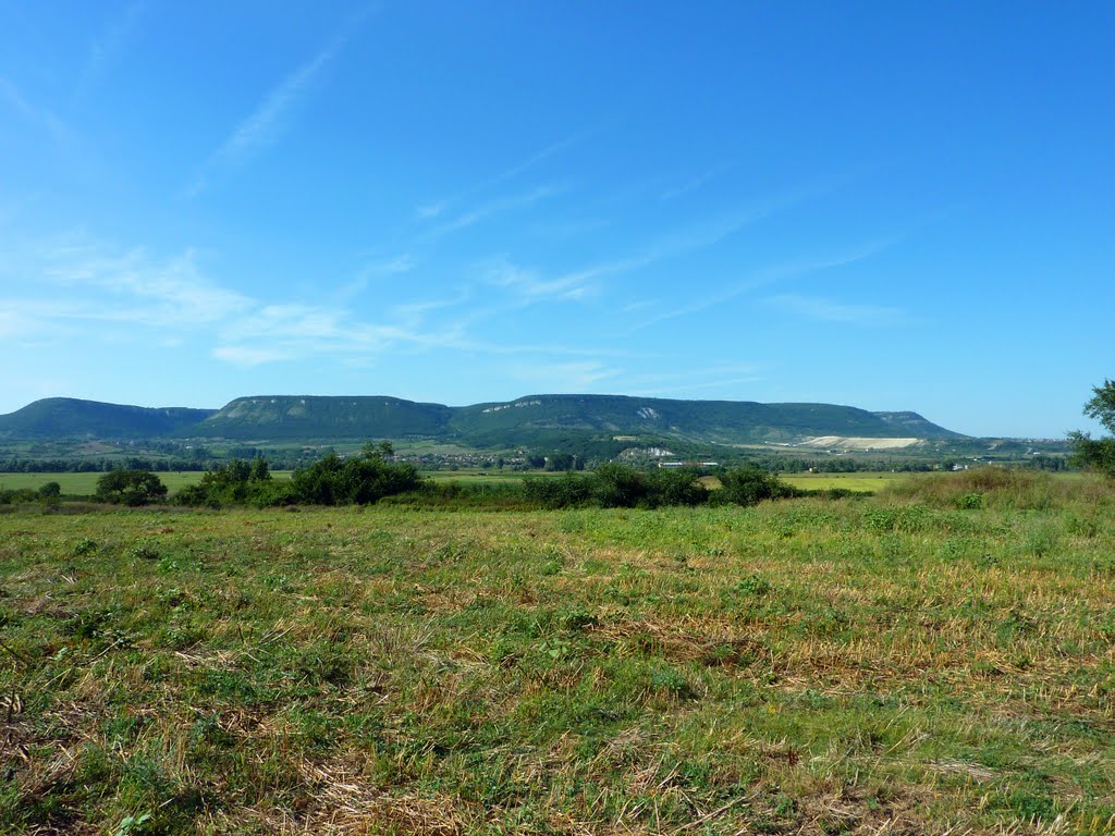 Изглед към Шуменското плато / View to the Shumen Plateau by godonikolov