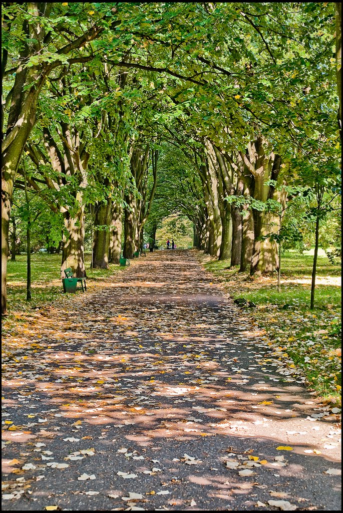 Łódź-Ogród Botaniczny-gb-46 by Millotaurus Pierwszy