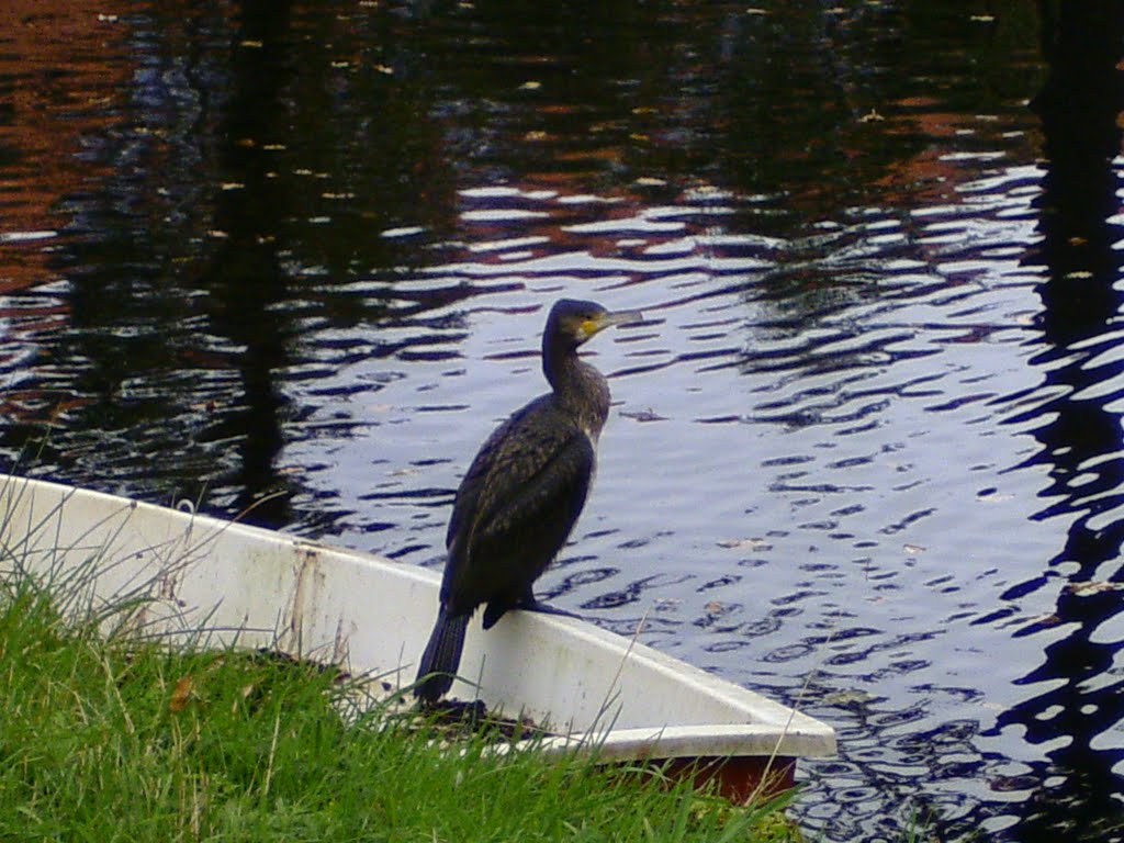 Visbootje met visvanger by emrijnders