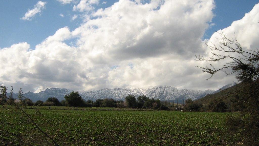 Cordillera desde Chacabuco by Fco Javier Frigerio