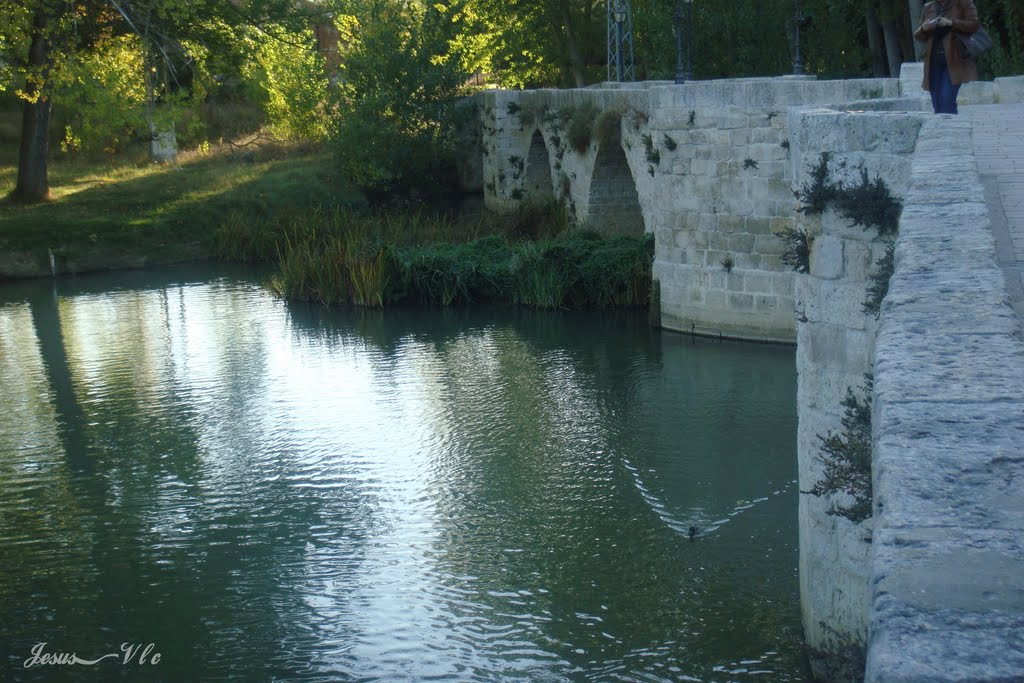 Palencia - Puentecillas by Ratpenat