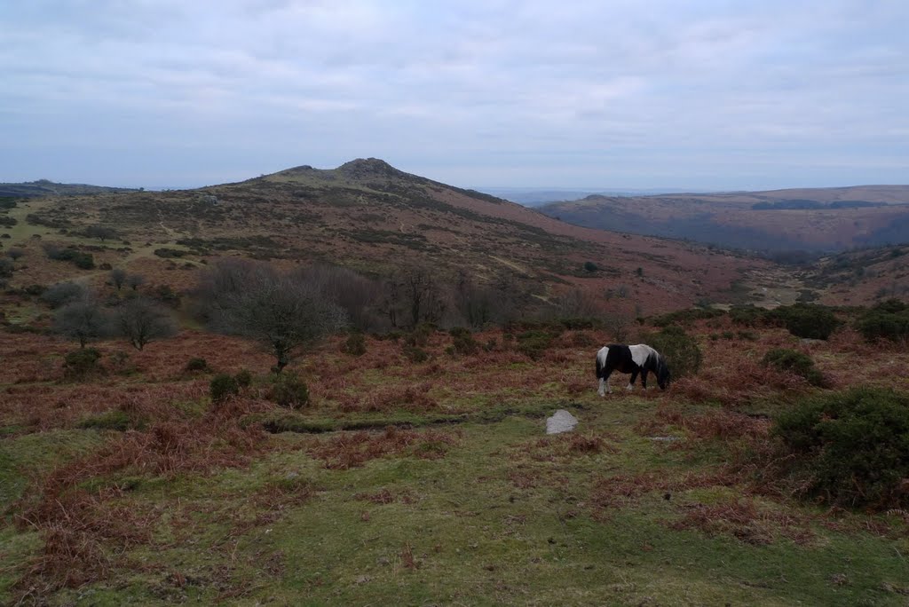 Dartmoor, Devon by _deadman_