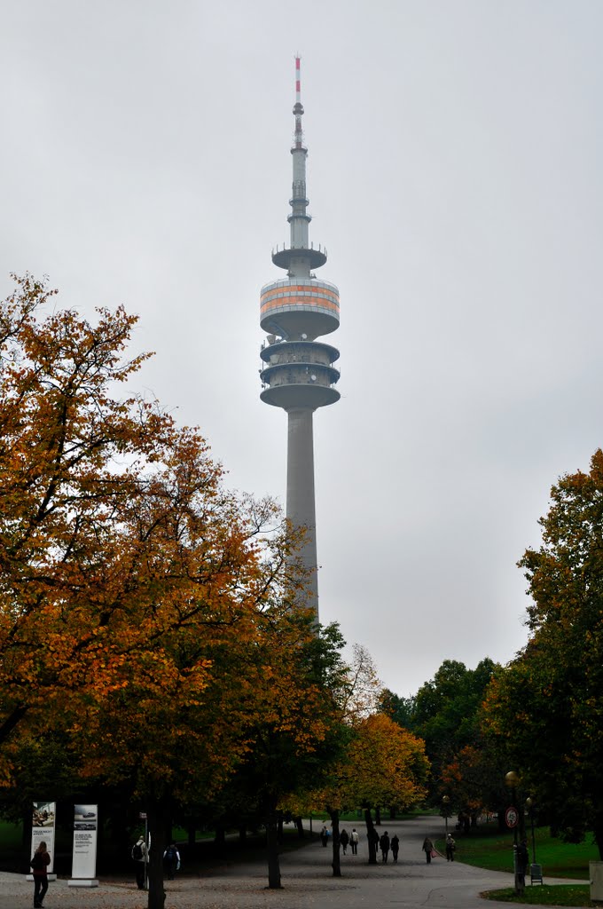 Autumn Contrast by Dmitriy Valtonen