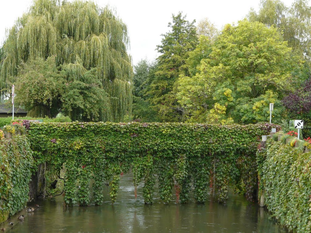 Pont de verdure... à Pont l'Evêque by Dominique du Rouge Cloître