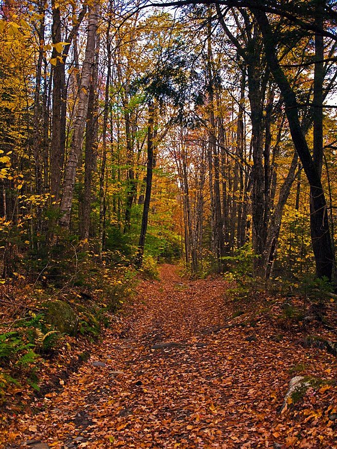 Corner Rd., Walden by cwohlers