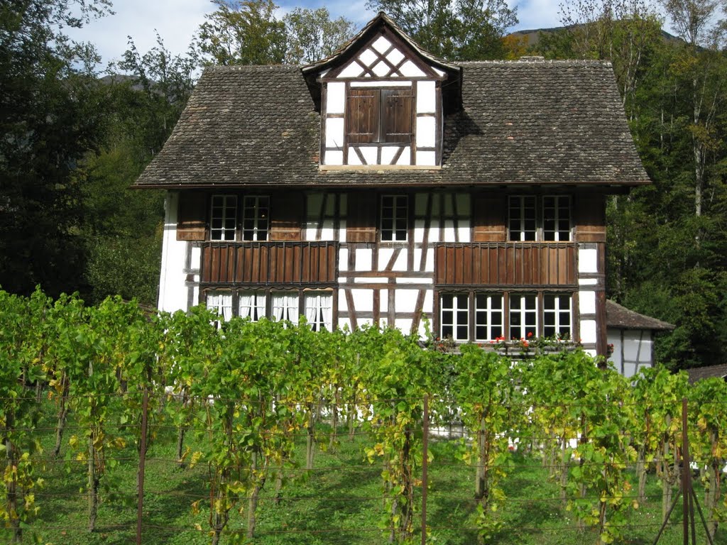 Weinbauernhaus von Richterswil ZH by Willi Luntzer